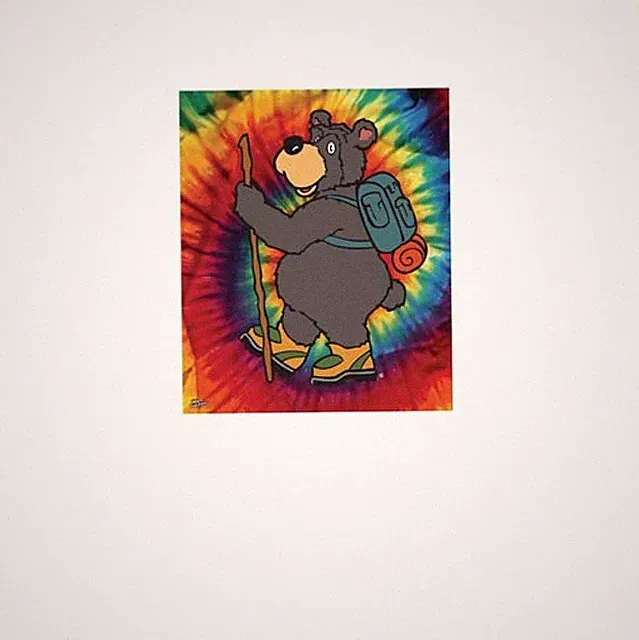 Tie Dye Animal Fleece Bear and Moose Kids Blanket Throw